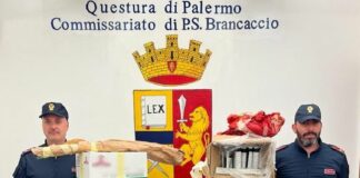 Botti illegali e droga, 1 arresto e 2 denunce a Palermo