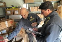 Sequestrati a Vibo Valentia 3 quintali di fuochi d’artificio, un arresto a Cosenza