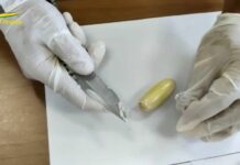 Bologna, trasportava dal Brasile 1,3 kg di cocaina. Arrestata