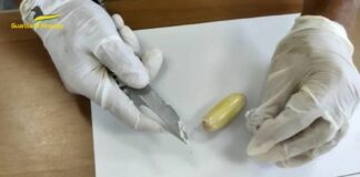 Bologna, trasportava dal Brasile 1,3 kg di cocaina. Arrestata