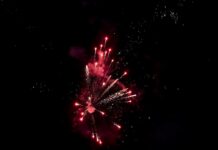 Buon anno nuovo dall’Agenzia Italpress