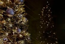 Buon Natale dall’agenzia Italpress