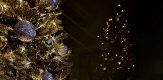 Buon Natale dall’agenzia Italpress