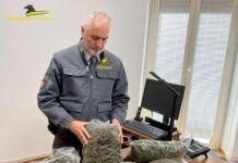Macerata, sequestrati 250 chili di droga, un denunciato