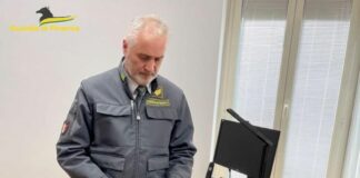 Macerata, sequestrati 250 chili di droga, un denunciato