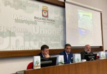 Puglia, dipartimento agricoltura dona 500 litri olio evo alla Caritas