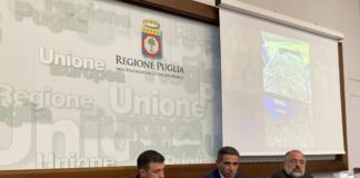 Puglia, dipartimento agricoltura dona 500 litri olio evo alla Caritas