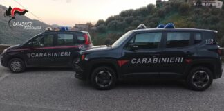 Smaltimento illecito di rifiuti, nel Reggino denunciati 10 produttori di olio