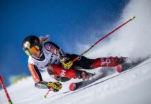 A Grenier il Gigante di Kranjska Gora, terza Federica Brignone