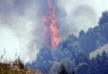 Roma nega l’emergenza incendi, tensione fra Schifani e Musumeci