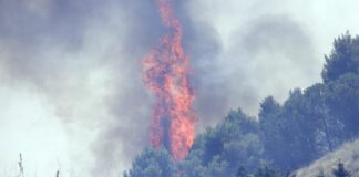 Roma nega l’emergenza incendi, tensione fra Schifani e Musumeci