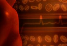 Malattie cardiovascolari nei bambini, attenzione ai segnali