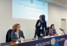 Valditara “Riforma istituti tecnici importante per Sud e Calabria”