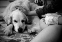 “Quattro zampe in corsia”, progetto GSD Foundation-Gruppo San Donato