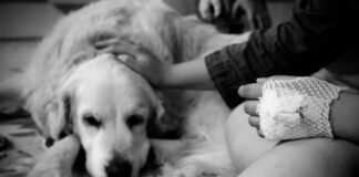 “Quattro zampe in corsia”, progetto GSD Foundation-Gruppo San Donato