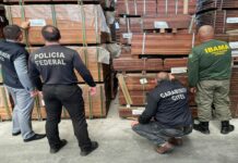 Operazione internazionale contro il traffico illegale di legname