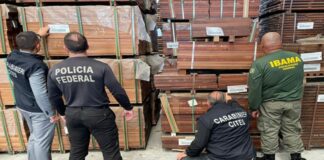 Operazione internazionale contro il traffico illegale di legname