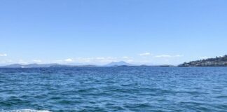 Terna sperimenta l’uso di un drone sottomarino per ispezione dei fondali