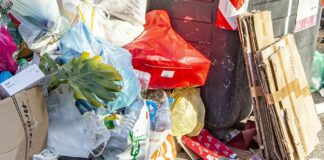 Economia circolare, corso gratuito per under35 in Lombardia e Veneto