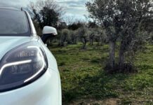 Ford, dagli scarti della raccolta di olive nasce l’auto del futuro