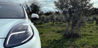 Ford, dagli scarti della raccolta di olive nasce l’auto del futuro