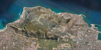 Un team di esperti per dare un nuovo volto alla Favorita di Palermo