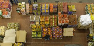 Settore agroalimentare in miglioramento nel terzo trimestre 2023