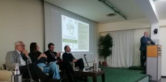 “L’Isola del Tesolio”, esperti e produttori di olio a confronto a Palermo