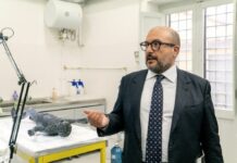 Dal 15 febbraio al Mann i bronzi di San Casciano