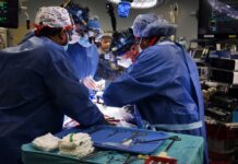 In E.Romagna un 2023 da record per i trapianti, 585 interventi eseguiti