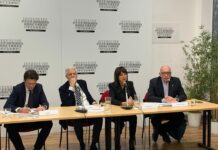 Tumore del polmone ALK+ non a piccole cellule, nuove opzioni di cura