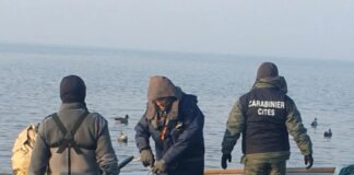 Operazione “Delta del Po” a salvaguardia fauna selvatica, 9 denunciati