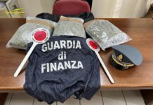 Nuoro, in possesso di 3 kg di marijuana. Arrestato