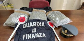 Nuoro, in possesso di 3 kg di marijuana. Arrestato