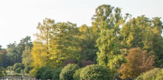 Qualità dell’aria in Emilia Romagna, nel 2023 i dati migliori degli ultimi 5 anni