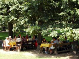 Il Mezzogiorno guida la crescita dell’agriturismo nel 2024