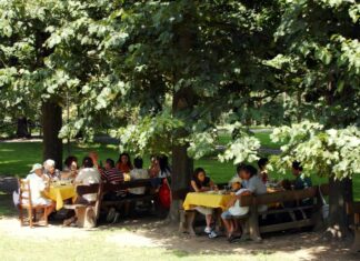 Il Mezzogiorno guida la crescita dell’agriturismo nel 2024