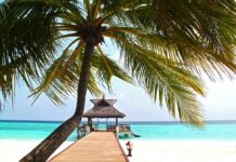 Global warming: come preservare le Maldive Una palma e un pontile verso il mare delle Maldive
