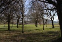 Credit Agricole Italia pianterà un albero per ogni giovane assunto