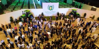 Confagricoltura, Pac e Green Deal strumenti inadeguati per competitività