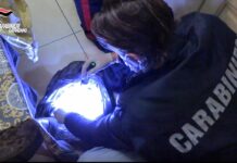 Lamezia Terme, sgominata banda dedita al traffico e spaccio di droga