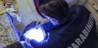 Lamezia Terme, sgominata banda dedita al traffico e spaccio di droga