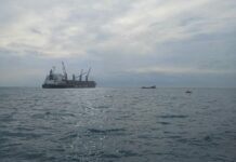 Webuild, avanzano i lavori per la diga foranea di Genova