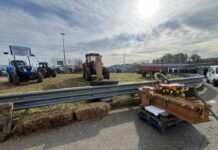 Occhiuto “Subito un tavolo con gli agricoltori in Regione Calabria”