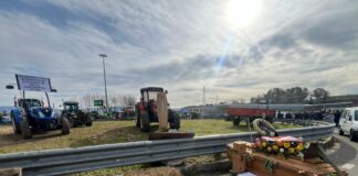 Occhiuto “Subito un tavolo con gli agricoltori in Regione Calabria”