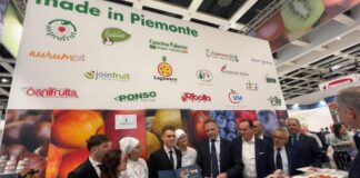 Lollobrigida insieme a Cirio a Berlino per promuovere frutta Piemonte