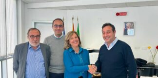 Policlinico di Palermo, Camarda nominato direttore dell’unità di Ortopedia