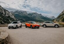 smart anticipa gli incentivi per #1 e #3