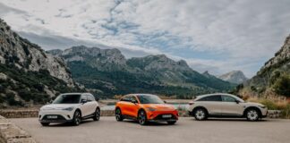 smart anticipa gli incentivi per #1 e #3