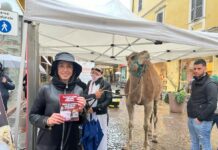 Fdi “accoglie” Renzi a Biella con un dromedario